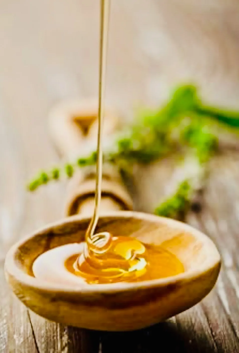 Honey on a wooden spoon in warm light